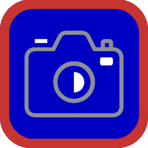 PicOrg business icon