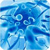 Increase Your Sperm on 9Apps