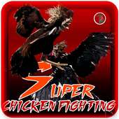 SUPER CHICKEN FIGHTING