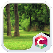 Summer Park CLauncher Theme icon