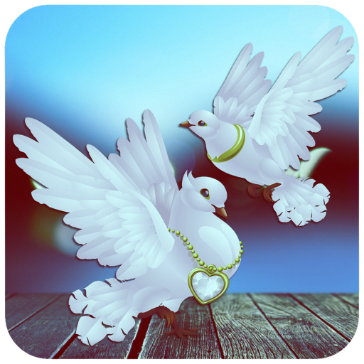 Pigeon Wallpaper icon