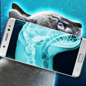 XRay Scanner Cat Joke icon