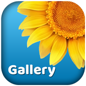 Gallery icon