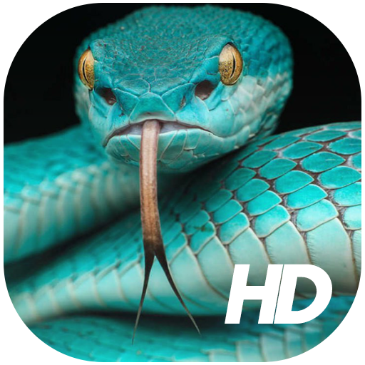 Snake Wallpaper HD icon