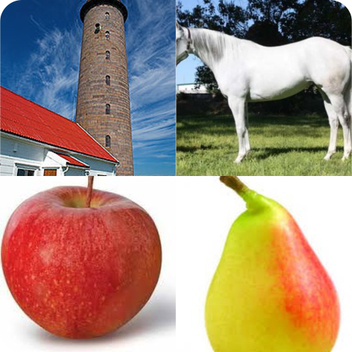 Ce este in imagine ? icon