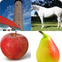 Ce este in imagine ?