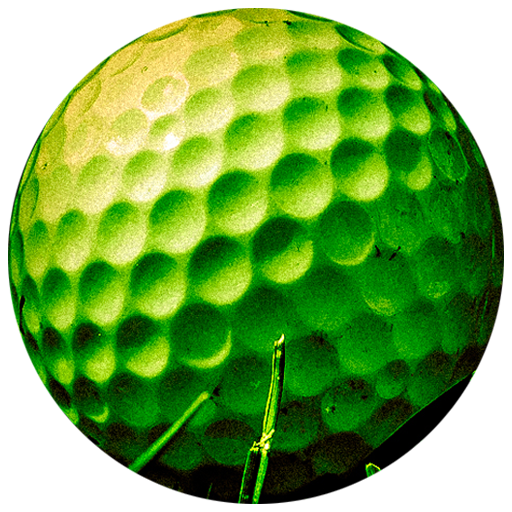 Mini Golf Arena With Your Friends icon