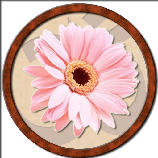 вдохновляющие фразы icon