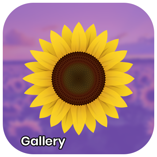 Gallery - Photo and Video Player icon