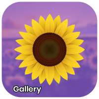 Gallery - Photo and Video Player on 9Apps