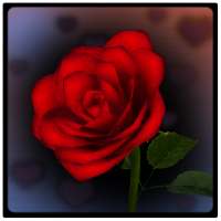 3D Rose Bouquet LWP Free on 9Apps