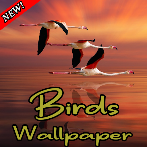 Birdpaper - Bird Mobile Wallpapers icon