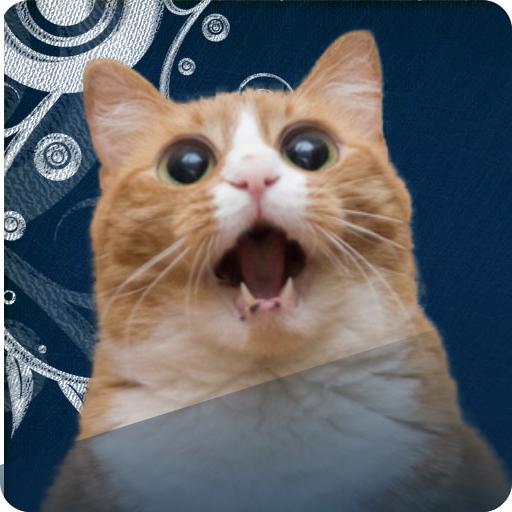 Cats Game: Memory icon