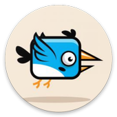Crazy Bird icon