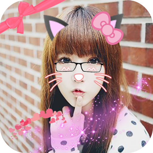 Cat Face Editor icon