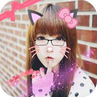 Cat Face Editor on 9Apps