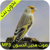 صوت هجين الحسون on 9Apps