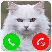 Talking Cat Call Prank icon