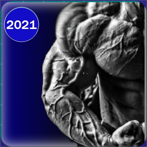 Bodybuilding and Gym Workouts icon