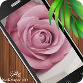 Rose Wallpaper HD on 9Apps