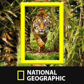 National Geographic Channel icon