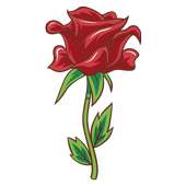 Roses Sticker Packs for WhatsApp - WAStickerApps