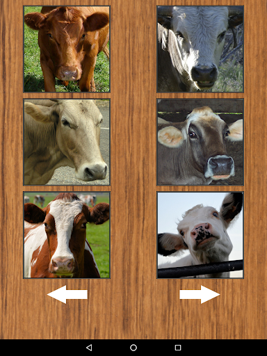 Funny Cow Farm Sounds screenshot 8