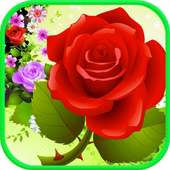 Rose Bubble Shooter Classic