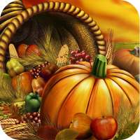 Thanksgiving Card Photo Editor