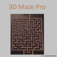 3D Maze Pro