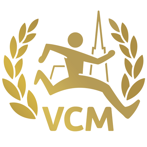 VCM 2019 Vienna City Marathon icon