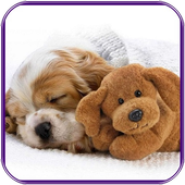 Dogs Jigsaw Puzzle icon