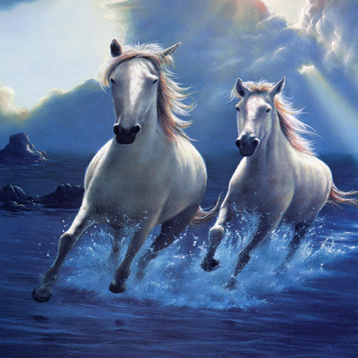 Horse Wallpapers HD icon