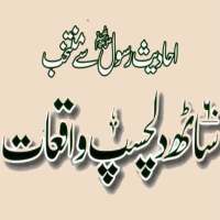 Islami Waqiat offline PDF on 9Apps