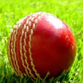 Cricket News worldCup 2015 icon