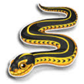 Venomous Snake Id Free icon