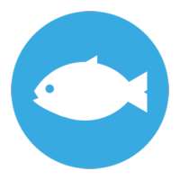 Catch a Fish: Dating app