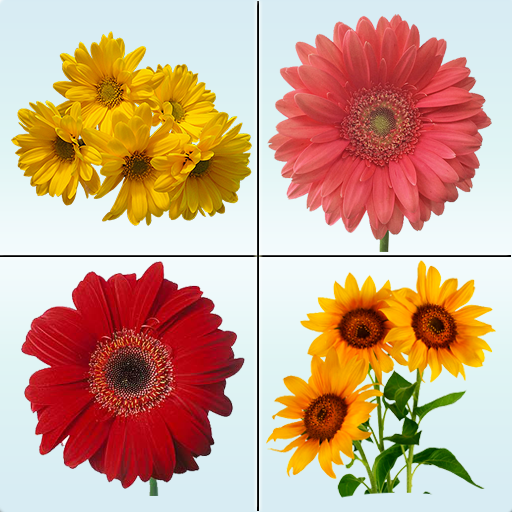 Flower Memory Matching Game icon