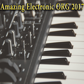 Top Electronic ORG 2017 icon