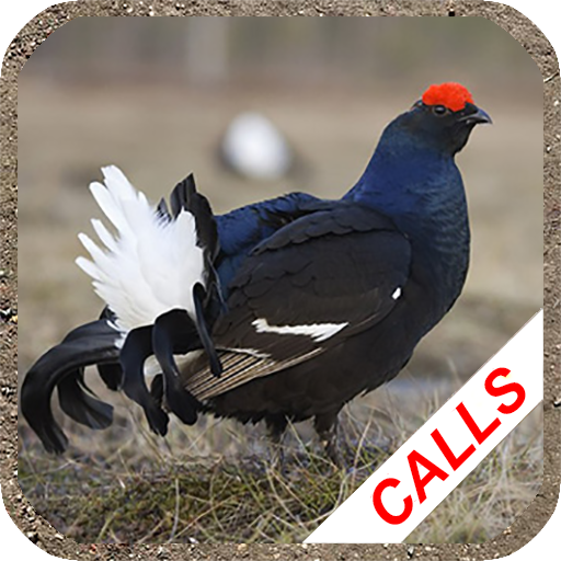 Манок на рябчика: звуки глухаря, тетерева, фазана иконка