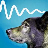 Dog Training At Home Free icon