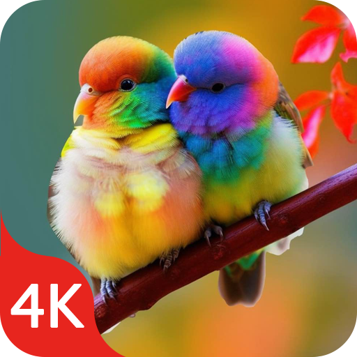 Birds Wallpapers Live in 4K icon