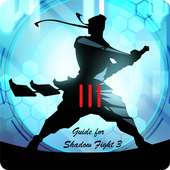 Full Guide for Shadow Fight 3