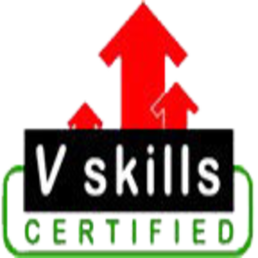 Vskills icon