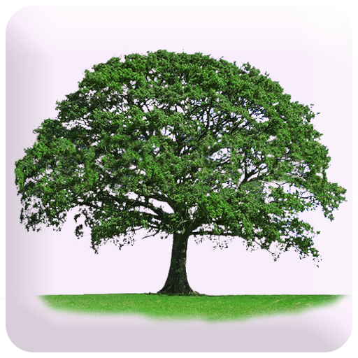 Know Yourself Personality Test icon