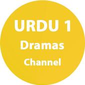 Pakistani Channel Urdu 1 icon