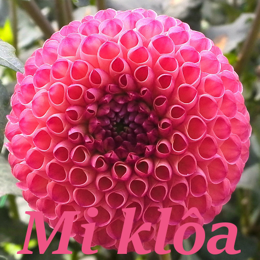 Mi klôa icon