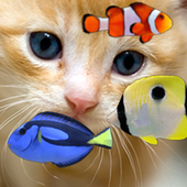 KITTY &amp; FISH LIVE WALLPAPER(4) icon