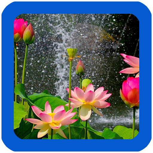 Nature Flowers Wallpaper icon