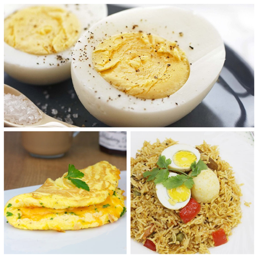 320  Egg Recipes icon